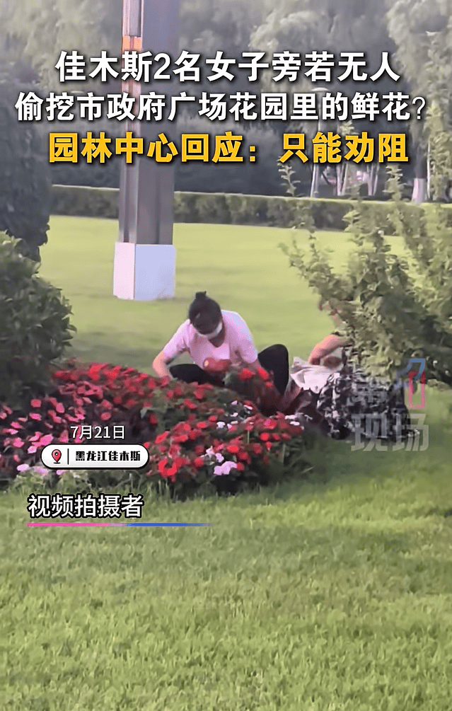 黑龙江两女子偷挖市政府广场花园里的鲜花被曝光<strong></p>
<p>USDT交易app</strong>！园林中心回应：只能劝阻补种