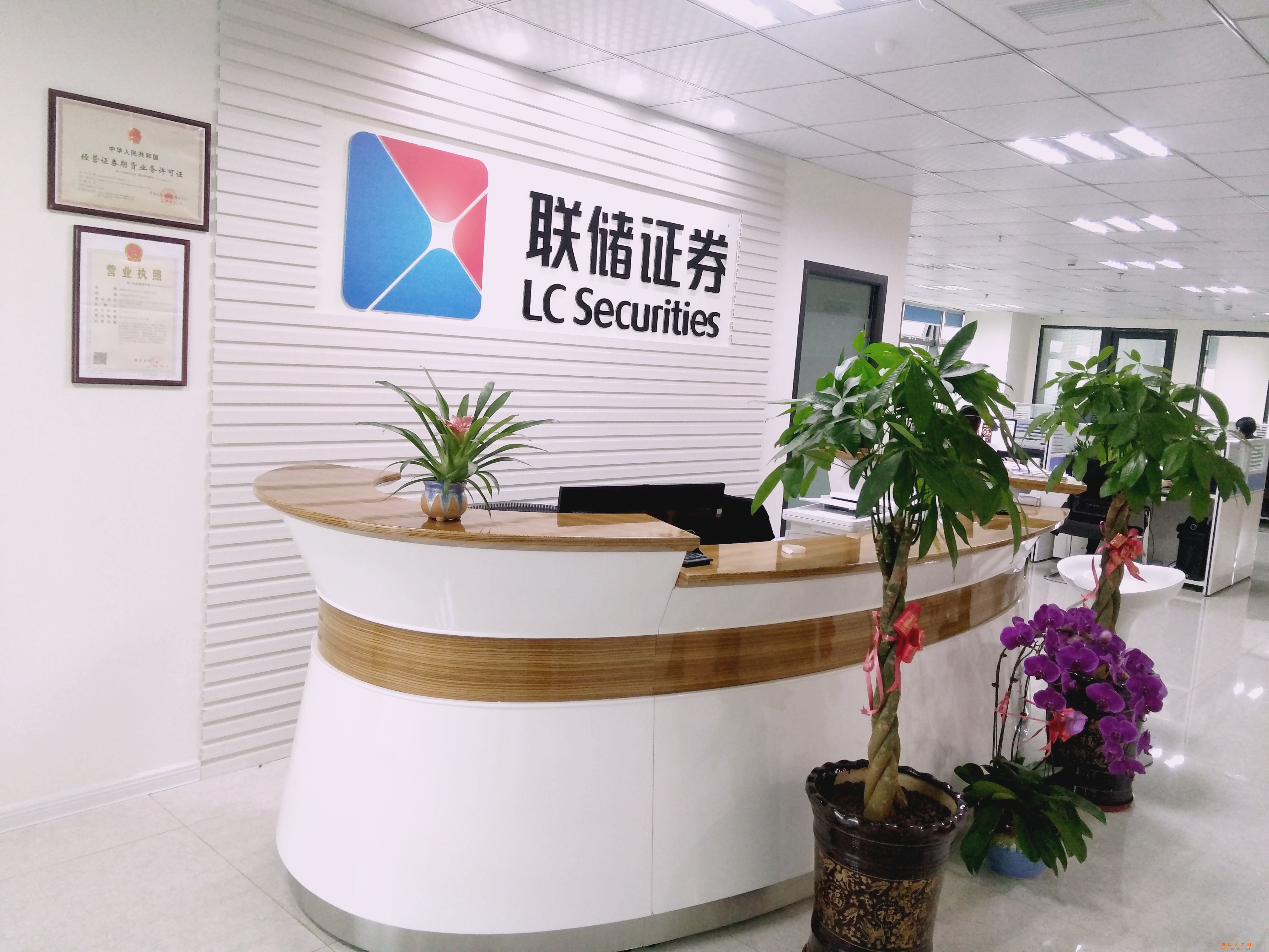 海口证券招聘(海口证券招聘信息)