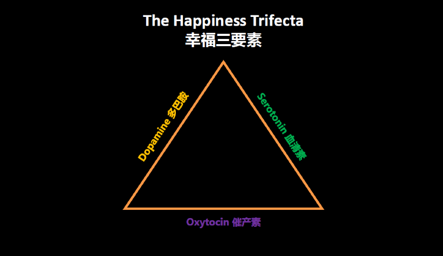重塑证券交易心理(证券交易的经验教训)