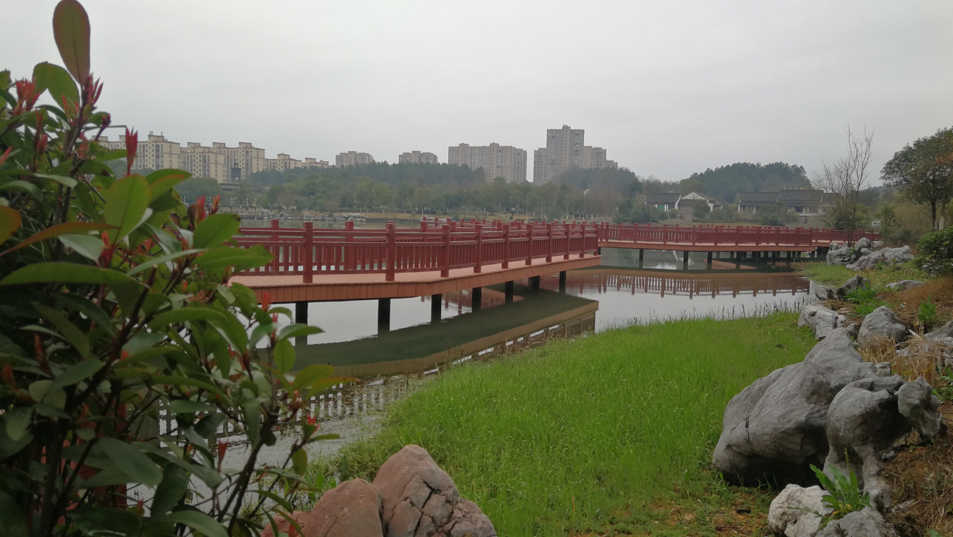 新干证券(新干证券公司地址)