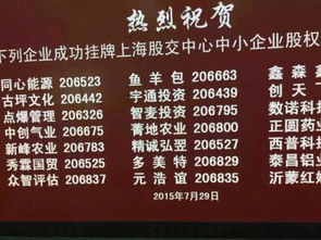 广发证券代码(广发证券代码000776股票稳定吗)