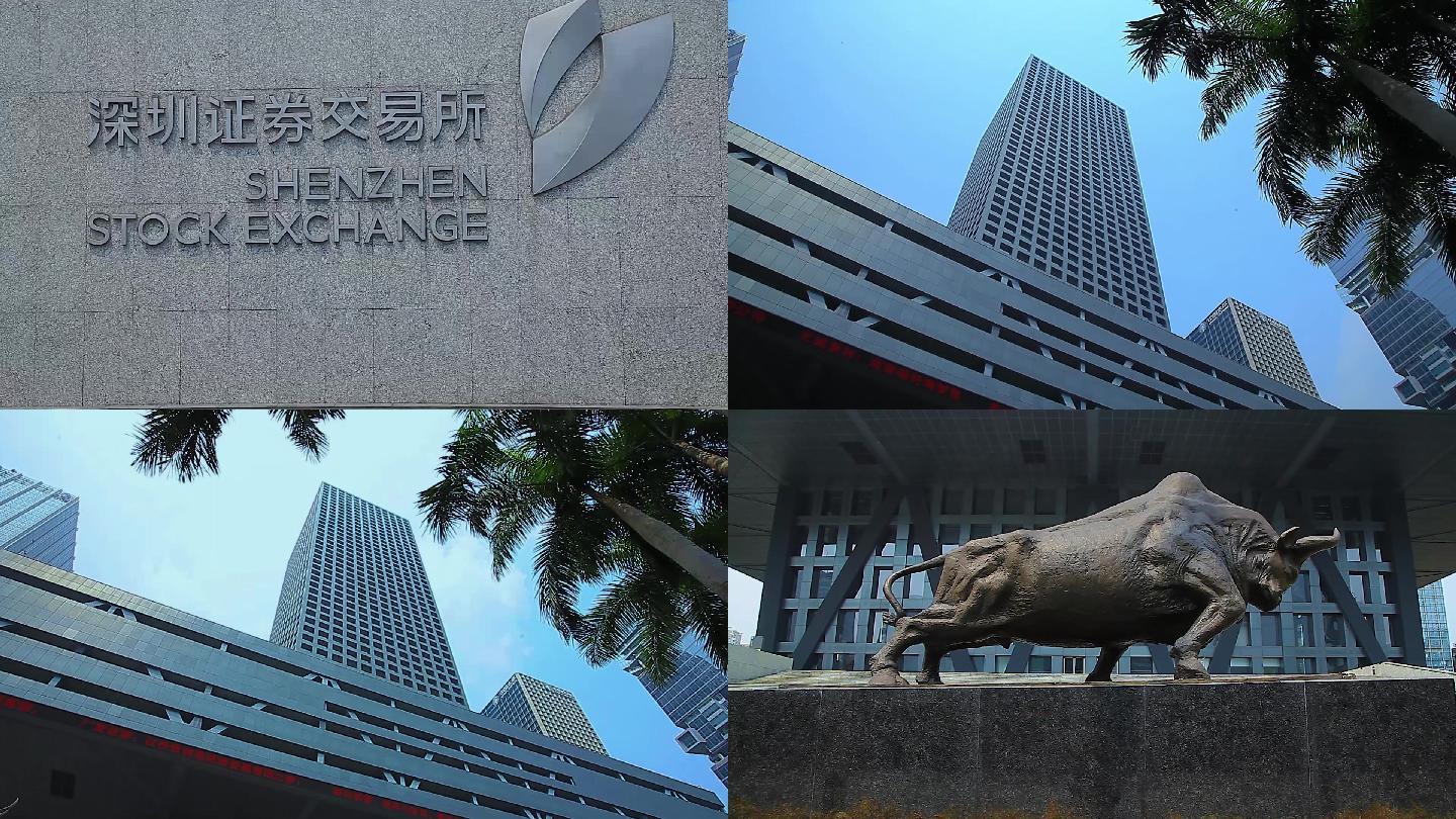 我国的证券交易所(我国的证券交易所属于什么制)