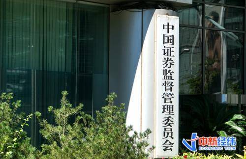 证券会审核(证券审核岗工作内容)