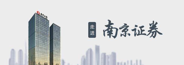 南京证券集成版(南京证券软件下载安装)