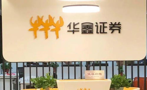 股票开户哪家证券公司好(股票开户哪家证券公司好一点)
