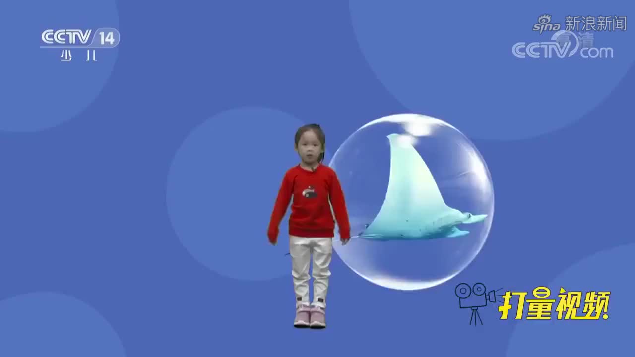 Dididu(dididum舞蹈串词)