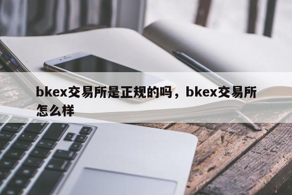 BKEX(本科二学位是什么意思)