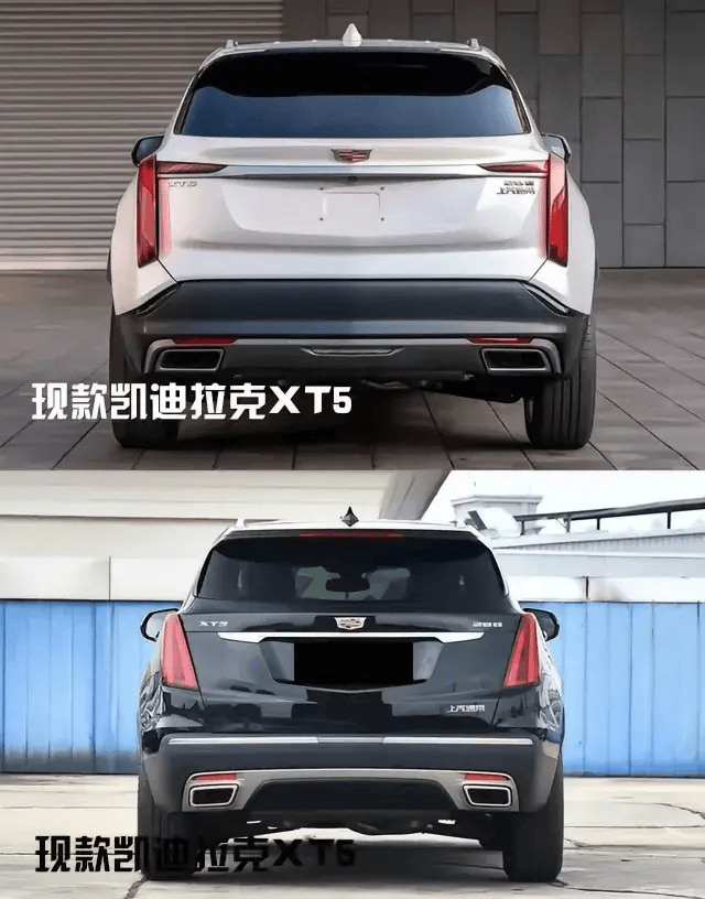 XT网(XT网名缩写)