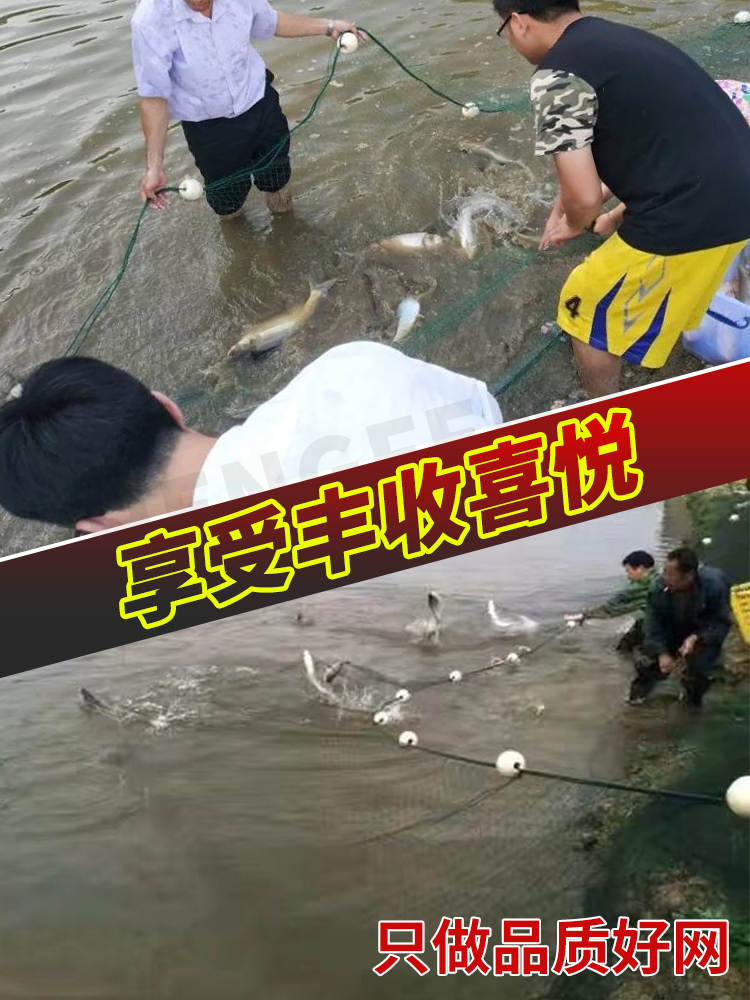 Q网(Q网络词什么意思?)