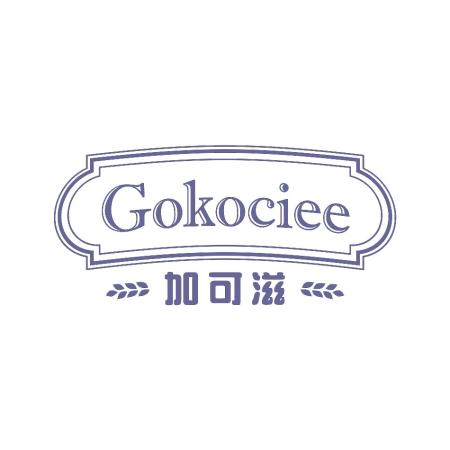 GOKO(go空间明星图片)