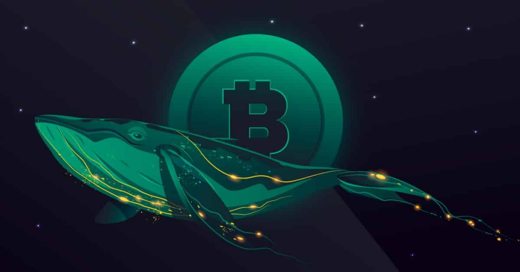 Bitso(bitsoft files可以删除吗)