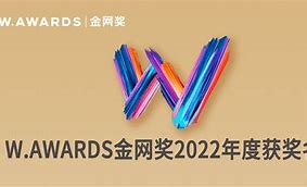金网(金网羽绒价格)