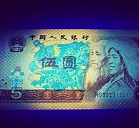 金网(金网羽绒价格)