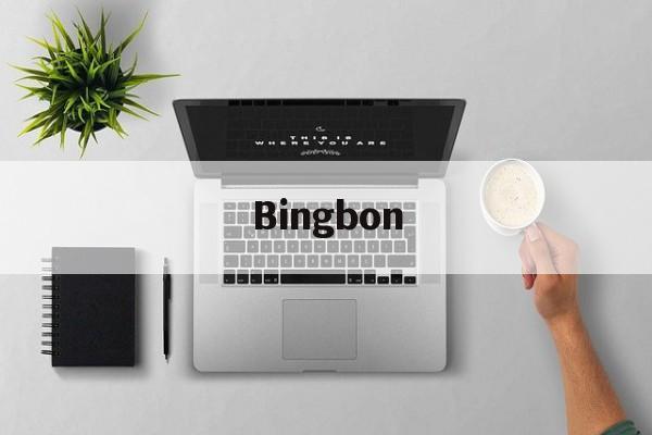 Bingbon(BINGBONG是什么意思)