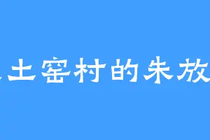 灰土窑村的朱放妈