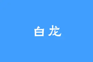 白龙