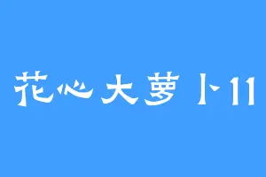 花心大萝卜11