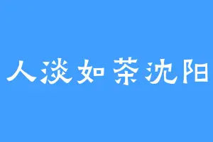 人淡如茶沈阳
