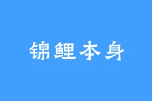 锦鲤本身