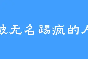 被无名踢疯的人