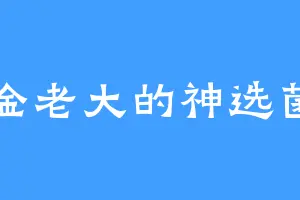 黄金老大的神选菌阀
