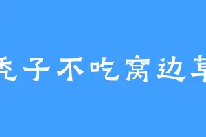 秃子不吃窝边草