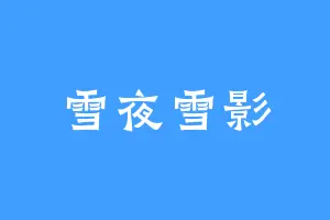 雪夜雪影
