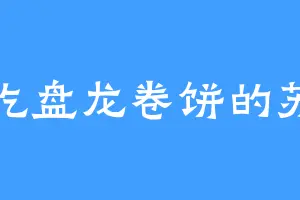 爱吃盘龙卷饼的苏灿