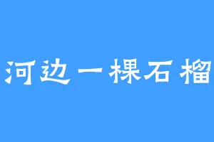 南河边一棵石榴树