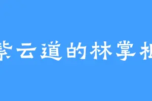 紫云道的林掌柜