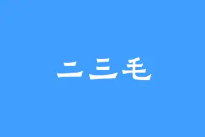 二三毛
