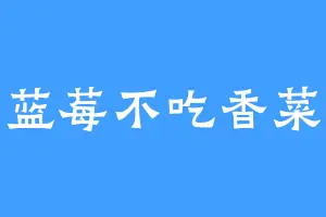 蓝莓不吃香菜