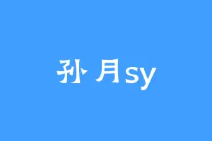 孙月sy
