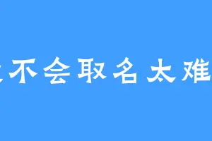 我不会取名太难了