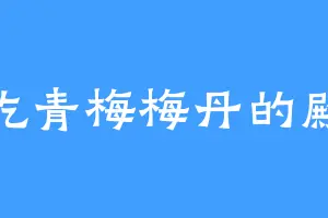 爱吃青梅梅丹的殿淑