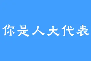 你是人大代表