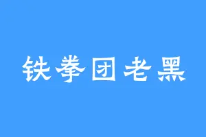 铁拳团老黑