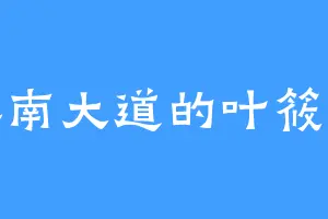 深南大道的叶筱儿