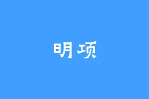 明项
