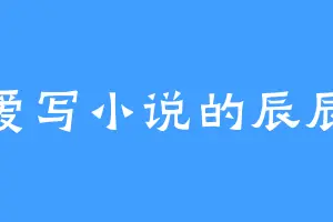 爱写小说的辰辰