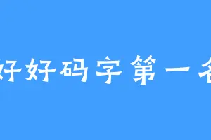好好码字第一名