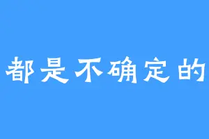 一切都是不确定的代码