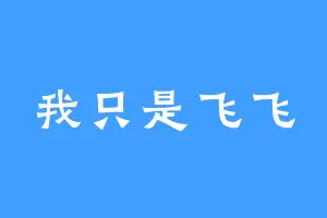 我只是飞飞