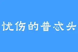 忧伤的普忒头
