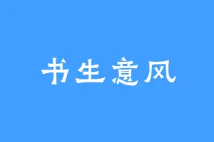 书生意风