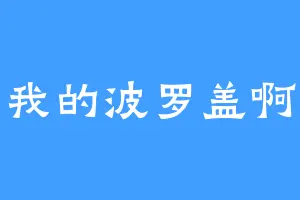 我的波罗盖啊