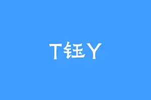 T钰Y