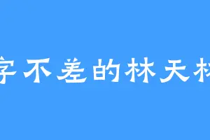 一字不差的林天林帝