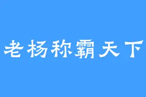 老杨称霸天下