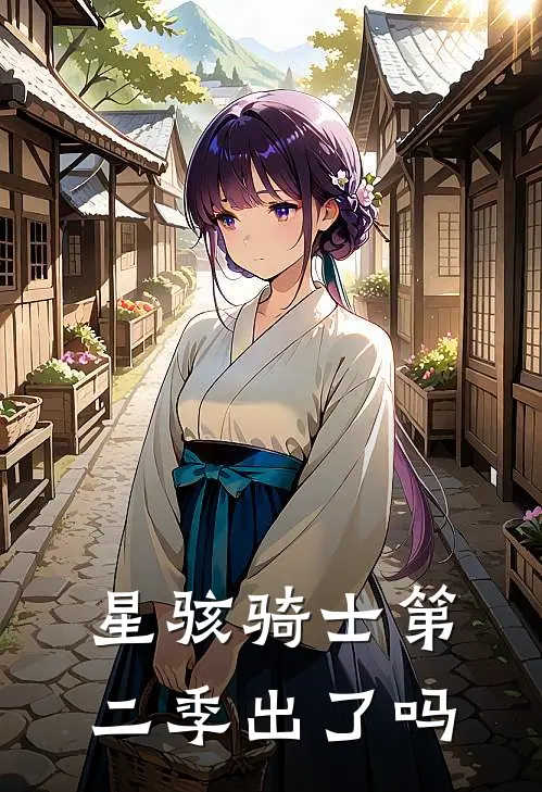 星骇骑士第二季出了吗